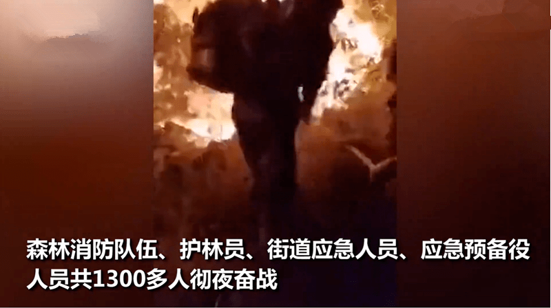 可跃 第2页