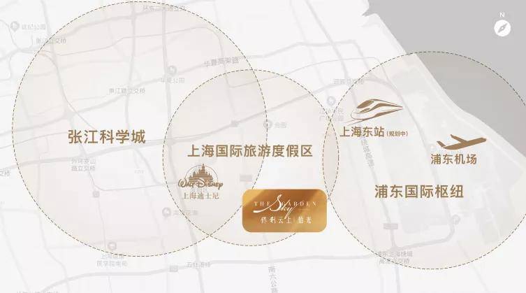 揭秘张江科技崛起的秘密，早期消息揭示科技巨头发展之路
