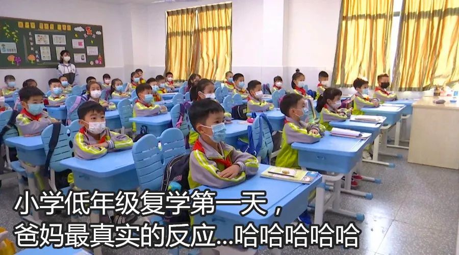 金宇